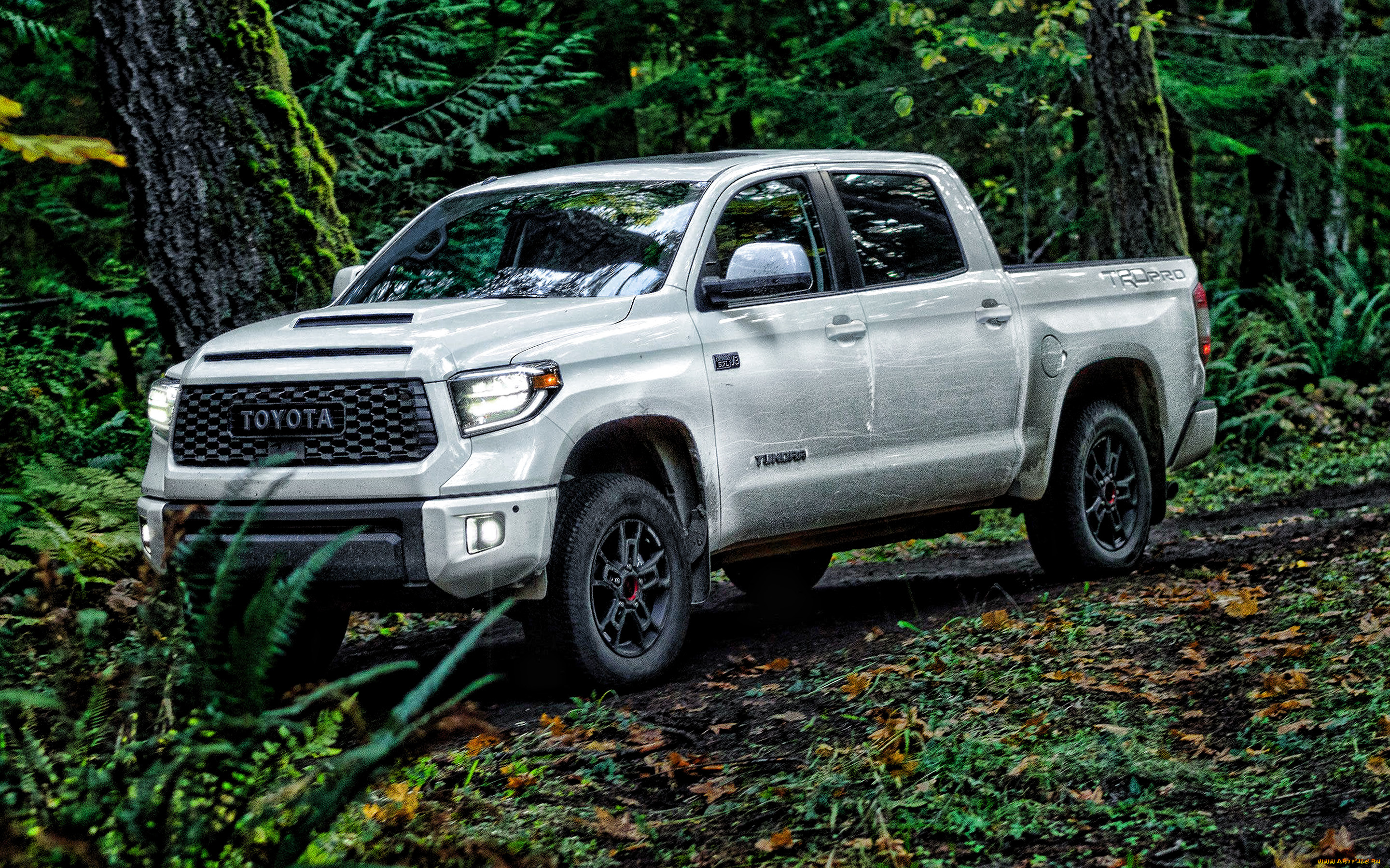 2020 toyota tundra trd pro, , toyota, 2020, tundra, , , , trd, pro, , , , , 